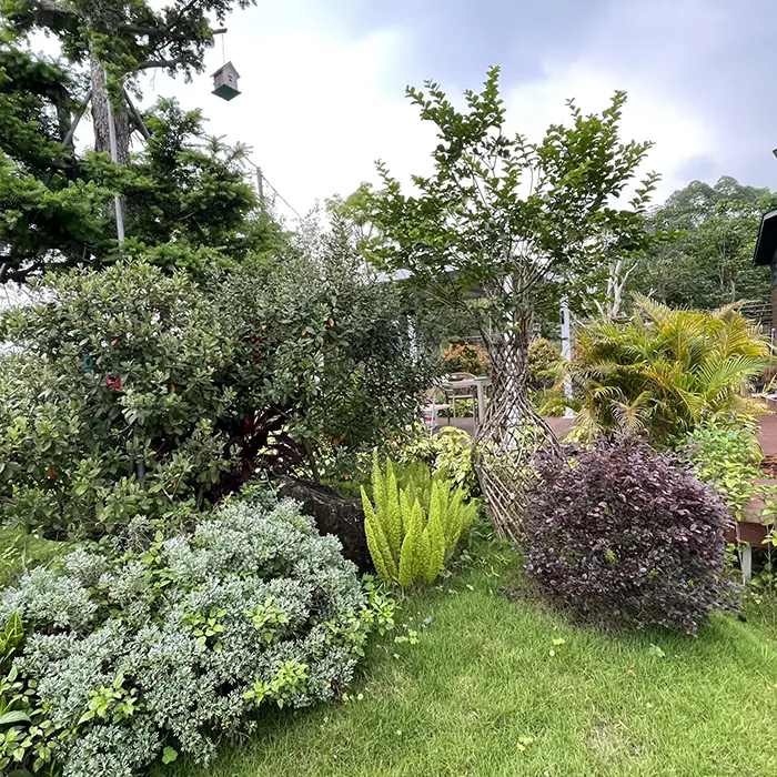 Paano Gumagawa ang Crape Myrtle ng Napakaganda at Mababang Pagpapanatiling Landscape? Paano Gumagawa ang Crape Myrtle ng Napakaganda at Mababang Pagpapanatiling Landscape?