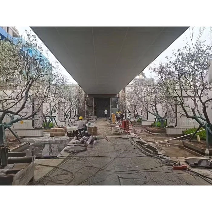Puno ng Olibo sa Kalye